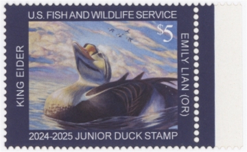 Picture of JDS32 2024 Duck Stamp MNH VF