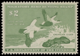 Picture of RW24 1957 Duck Stamp. MLH
