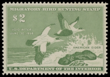 Picture of RW24 1957 Duck Stamp. MLH