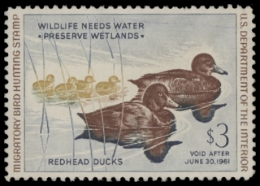 Picture of RW27 1960 Duck Stamp. Unsigned