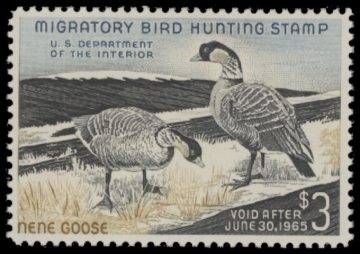 Picture of RW31 1964 Duck Stamp.MNH