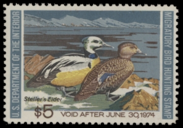 Picture of RW40 1973 Duck Stamp. Unsigned