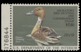 Picture of RW53 1986 Duck Stamp. MLH. F-VF