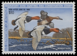 Picture of RW54 1987 Duck Stamp. MNH. F-VF