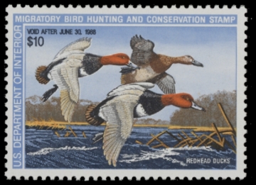 Picture of RW54 1987 Duck Stamp. MLH. F-VF