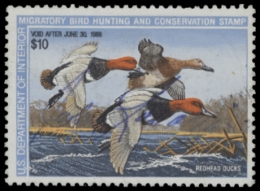 Picture of RW54 1987 Duck Stamp. Used. F-VF