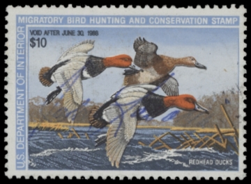 Picture of RW54 1987 Duck Stamp. Used. F-VF