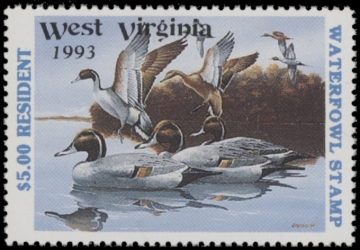 Picture of 1993 West Virginia Duck Stamp