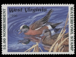 Picture of 1996 West Virginia Duck Stamp