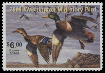 Picture of 2001 Washington Duck Stamp