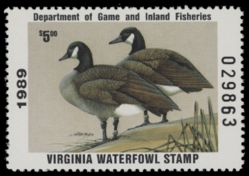 Picture of 1989 Virginia Duck Stamp