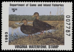 Picture of 1993 Virginia Duck Stamp