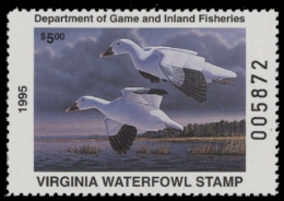 Picture of 1995 Virginia Duck Stamp