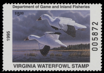 Picture of 1995 Virginia Duck Stamp