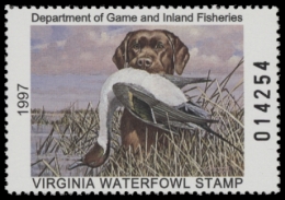 Picture of 1997 Virginia Duck Stamp