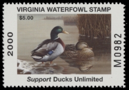 Picture of 2000 Virginia Duck Stamp