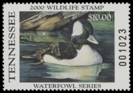 Picture of 2000 Tennessee Duck Stamp