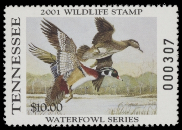 Picture of 2001 Tennessee Duck Stamp