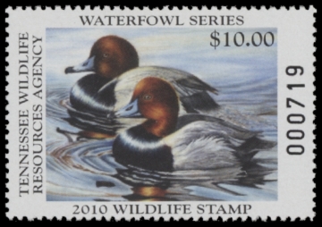 Picture of 2010 Tennessee Duck Stamp