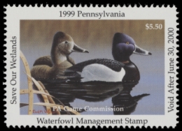 Picture of 1999 Pennsylvania Duck Stamp