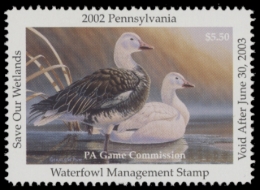 Picture of 2002 Pennsylvania Duck Stamp