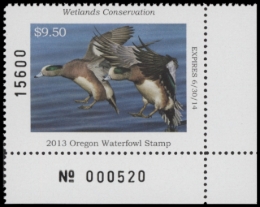 Picture of 2013 Oregon Duck Stamp