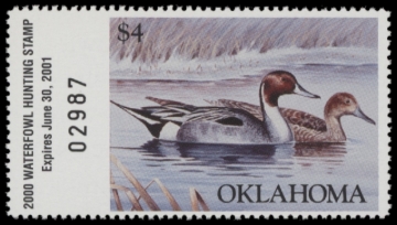 Picture of 2000 Oklahoma Duck Stamp