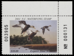 Picture of 2001 North Carolina Duck Stamp