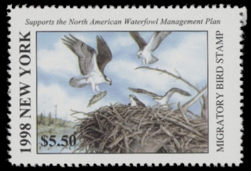 Picture of 1998 New York Duck Stamp