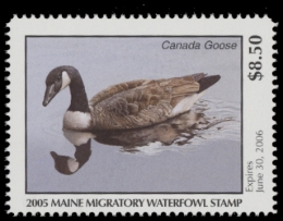 Picture of 2005 Maine Duck Stamp