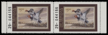 Picture of 1987 Montana Duck Stamp