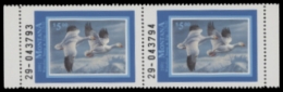 Picture of 1991 Montana Duck Stamp