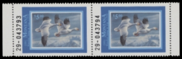 Picture of 1991 Montana Duck Stamp