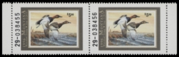 Picture of 1999 Montana Duck Stamp