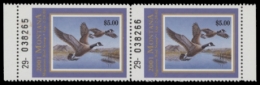 Picture of 2001 Montana Duck Stamp