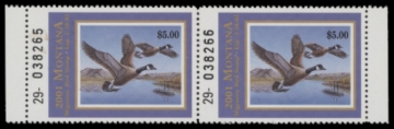 Picture of 2001 Montana Duck Stamp