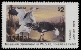 Picture of 1990 Mississippi Duck Stamp