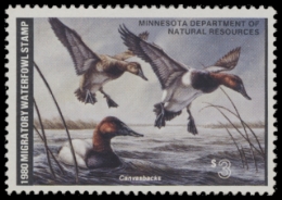 Picture of 1980 Minnesota Duck Stamp