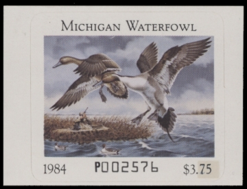 Picture of 1984 Michigan Duck Stamp