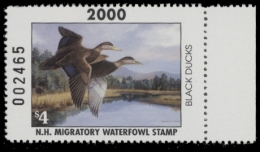 Picture of 2000 New Hampshire Duck Stamp
