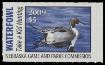 Picture of 2009 Nebraska Duck Stamp