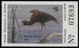 Picture of 1991 Nevada Duck Stamp