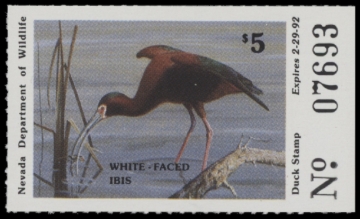 Picture of 1991 Nevada Duck Stamp