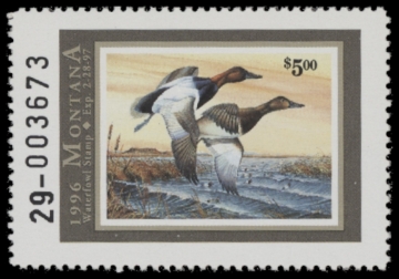 Picture of 1996 Montana Duck Stamp