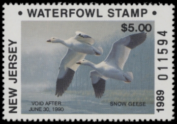 Picture of 1989 New Jersey NR Duck Stamp