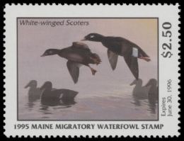 Picture of 1995 Maine Duck Stamp