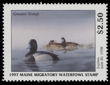 Picture of 1997 Maine Duck Stamp