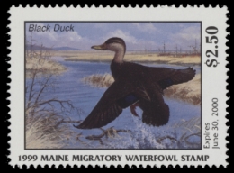 Picture of 1999 Maine Duck Stamp