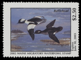 Picture of 2002 Maine Duck Stamp