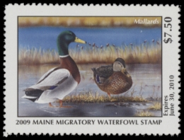 Picture of 2009 Maine Duck Stamp